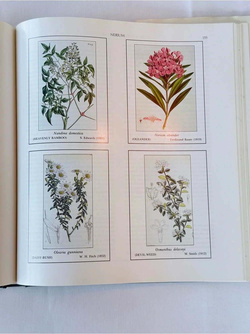 Garden Shrubs and Their Histories - Pink Hardcover by Alice M. Coats